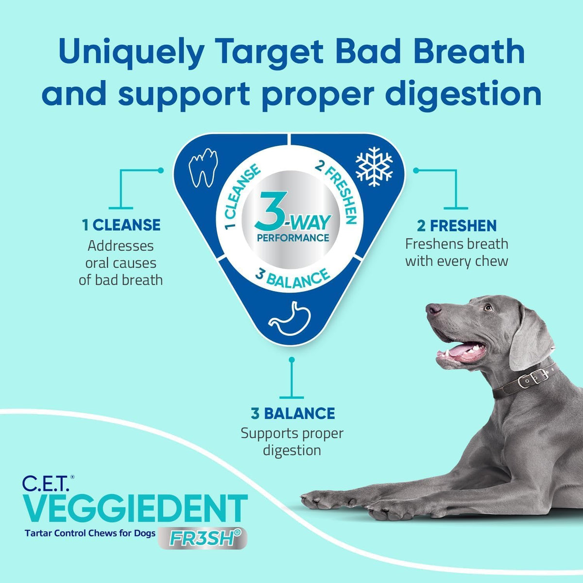 Virbac C.E.T.® VEGGIEDENT® FR3SH® Tartar Control Chews for Dogs with digestive health support, VOHC Approved, Medium 22-66lbs