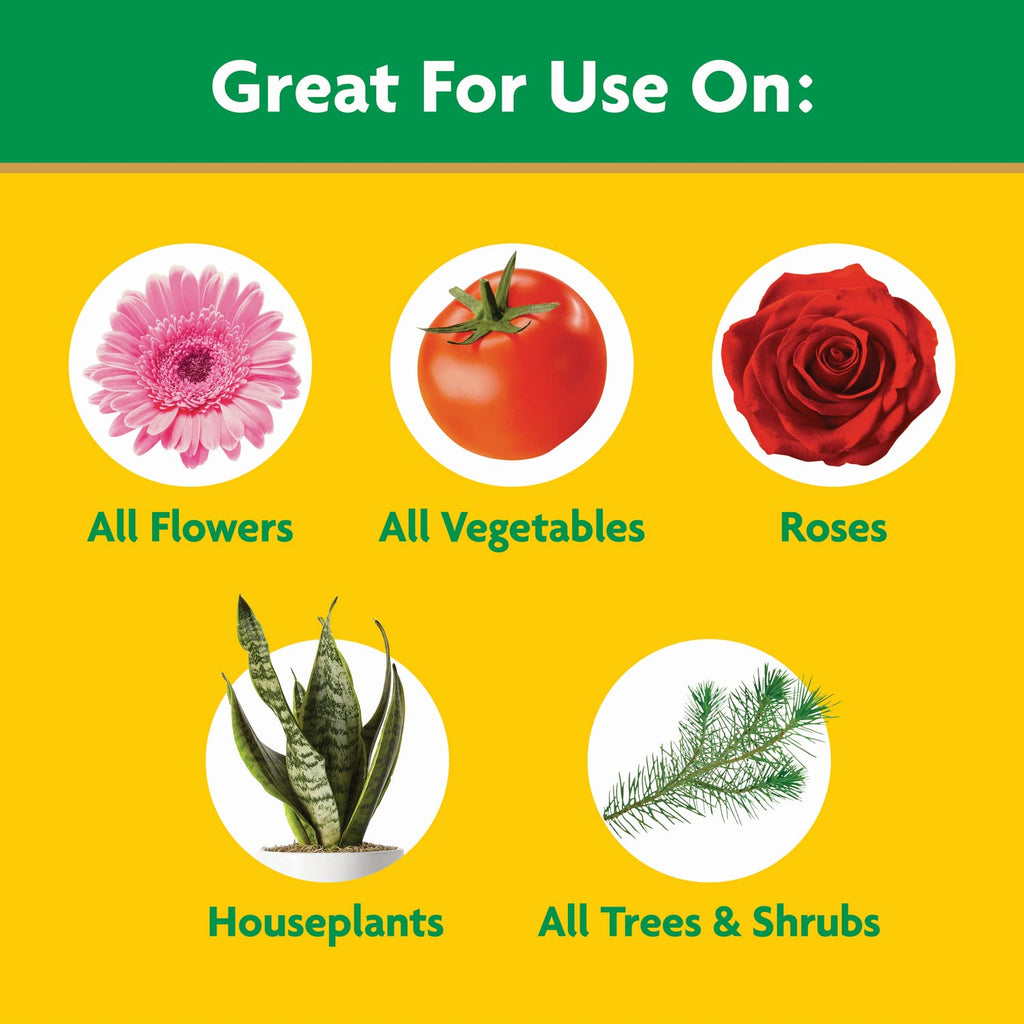 Miracle-Gro Water Soluble All Purpose Plant Food - Fertilizer For All Indoor or Outdoor Plants including Roses, Flowers, Vegetables, Houseplants, Trees, and Shrubs, 3 lbs.