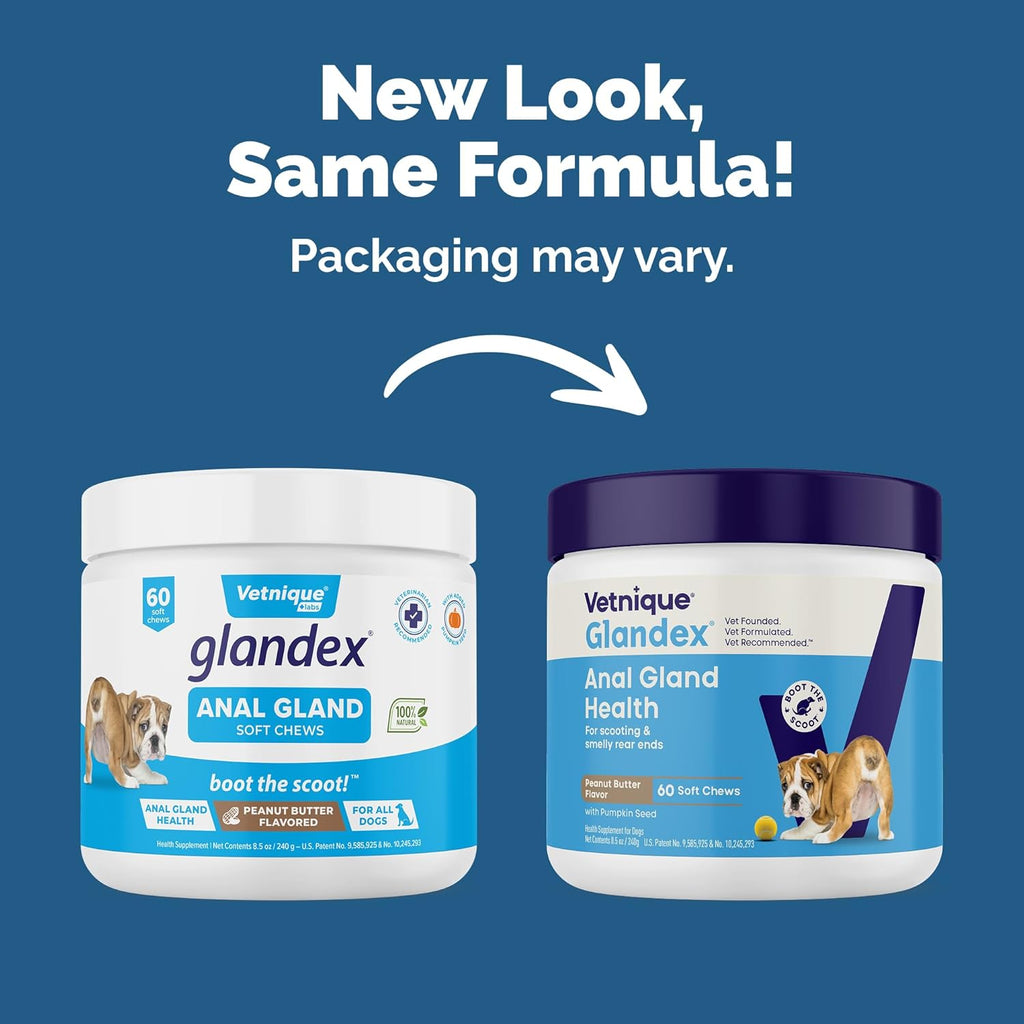 Vetnique Glandex Anal Gland Soft Chew Treats with Pumpkin for Dogs Digestive Enzymes, Probiotics Fiber Supplement for Dogs Boot The Scoot (Peanut Butter Chews, 60 Count)
