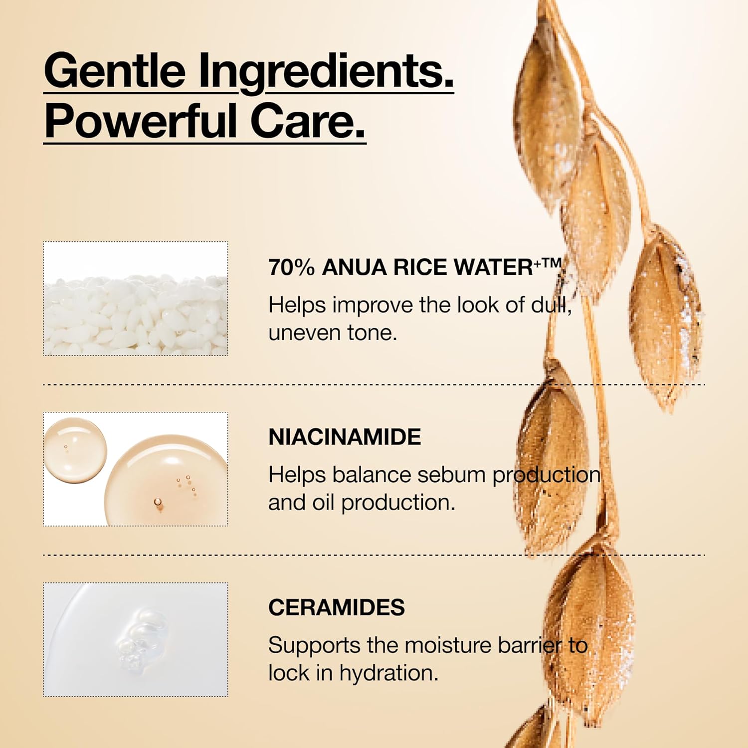 Anua Rice 70 Glow Milky Toner, Glass & Dewy Skin, Hydrating & Barrier Care, Rice Water, Niacinamide, Ceramides, All Skin Types, Fragrance-Free, Non Comedogenic, Korean Skincare, 8.45 fl.oz.
