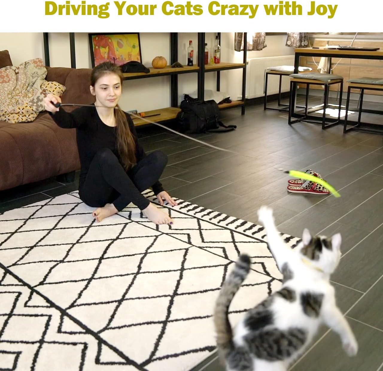 MeoHui Cat Toys for Indoor Cats, Interactive Cat Toy 2PCS Retractable Wand Toy and 9PCS Cat Feather Toys Refills, Funny Kitten Toys Cat Fishing Pole Toy for Bored Indoor Cats Chase and Exercise