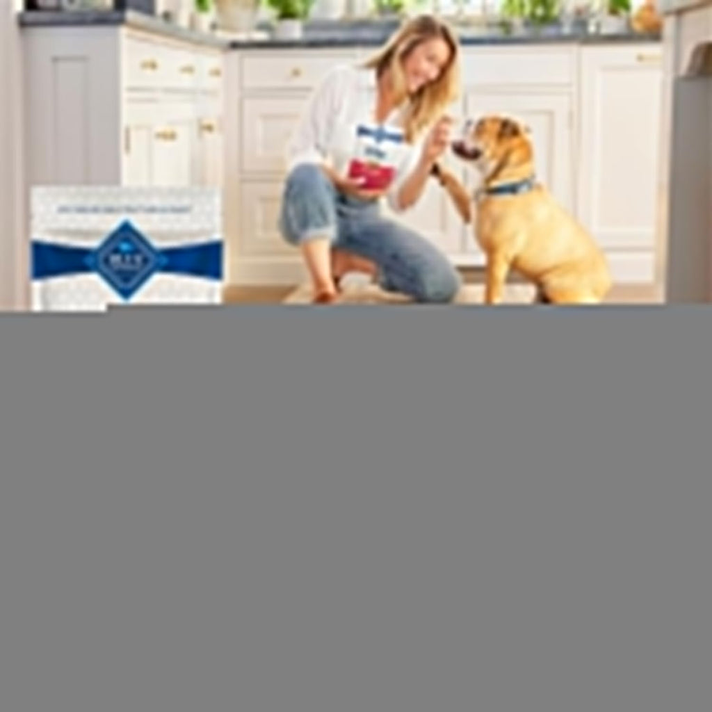 Blue Buffalo Bits Soft Dog Treats for Training, Made with Natural Ingredients & Enhanced with DHA, Beef Recipe, 19-oz Bag