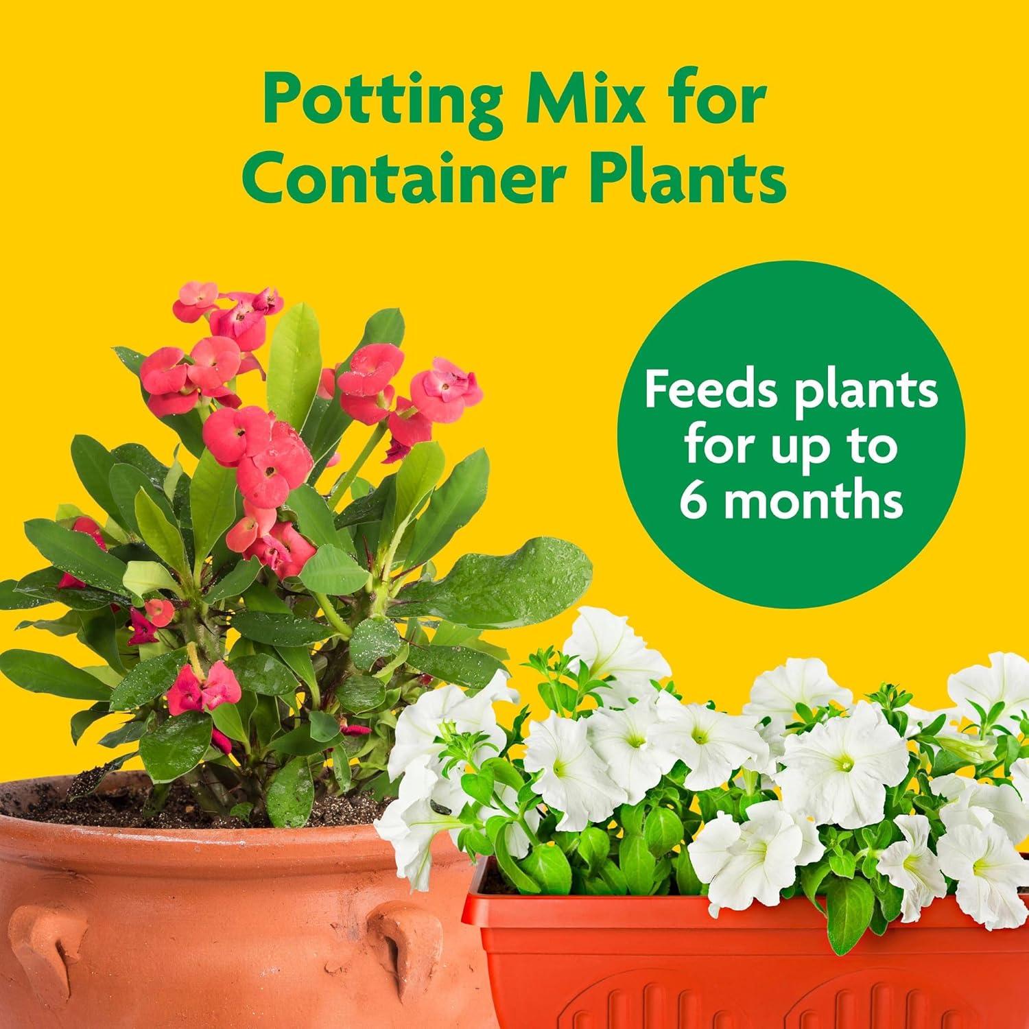 Miracle-Gro Potting Mix - For Container Plants, Flowers, Vegetables, Shrubs, Annuals, Perennials, Potting Soil Mix, Feeds up to 6 Months, 8 qt. (2-Pack)