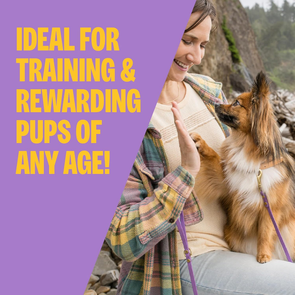 Wellness Puppy Treats, Natural, Training Treat, Grain Free, Soft Lamb & Salmon (8 Ounce Bag)