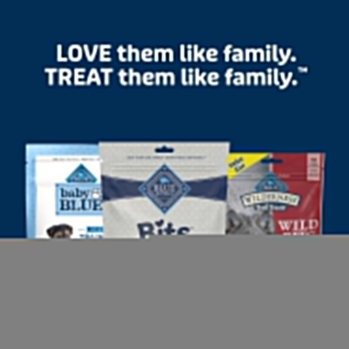 Blue Buffalo Bits Soft Dog Treats for Training, Made with Natural Ingredients & Enhanced with DHA, Beef Recipe, 19-oz Bag