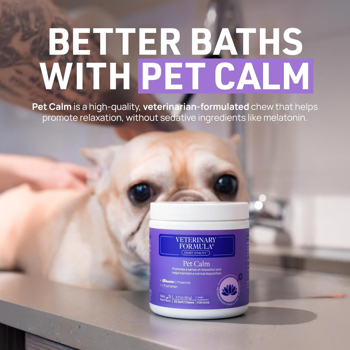 Veterinary Formula Clinical Care Antiseptic and Antifungal Medicated Shampoo for Dogs & Cats, 16 Fl Oz – Helps Alleviate Scaly, Greasy, red Skin – Paraben, Dye, Soap-Free (1 Pack)