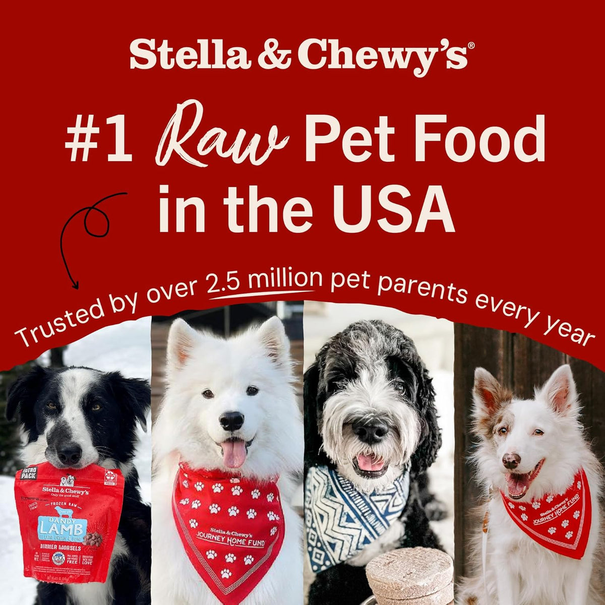 Stella & Chewy's Freeze-Dried Raw Dinner Patties - Beef Recipe - High Protein Grain-Free Puppy & Dog Food - Perfect For Picky Eaters - 25 oz