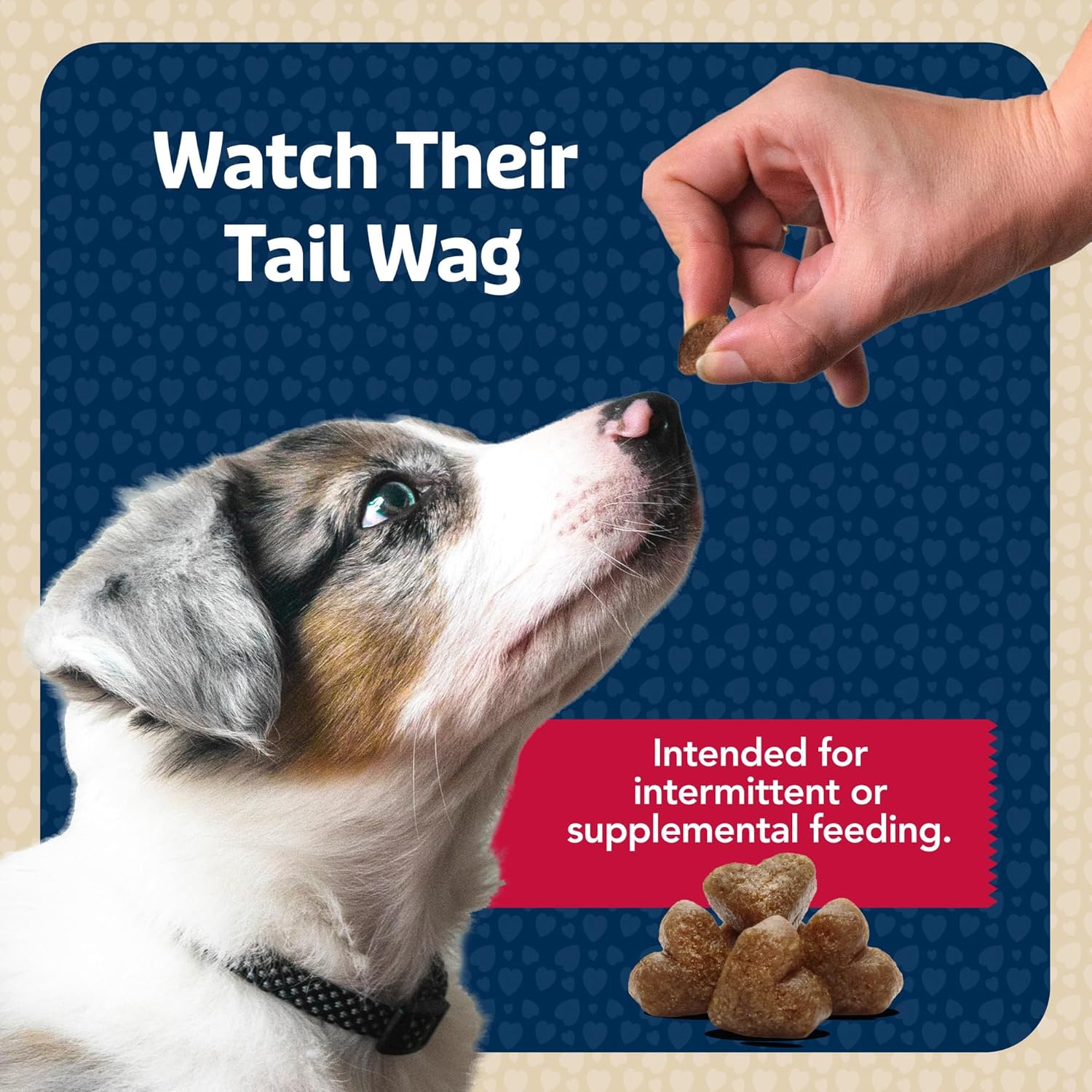 Blue Buffalo Bits Soft Dog Treats for Training, Made with Natural Ingredients & Enhanced with DHA, Beef Recipe, 19-oz Bag