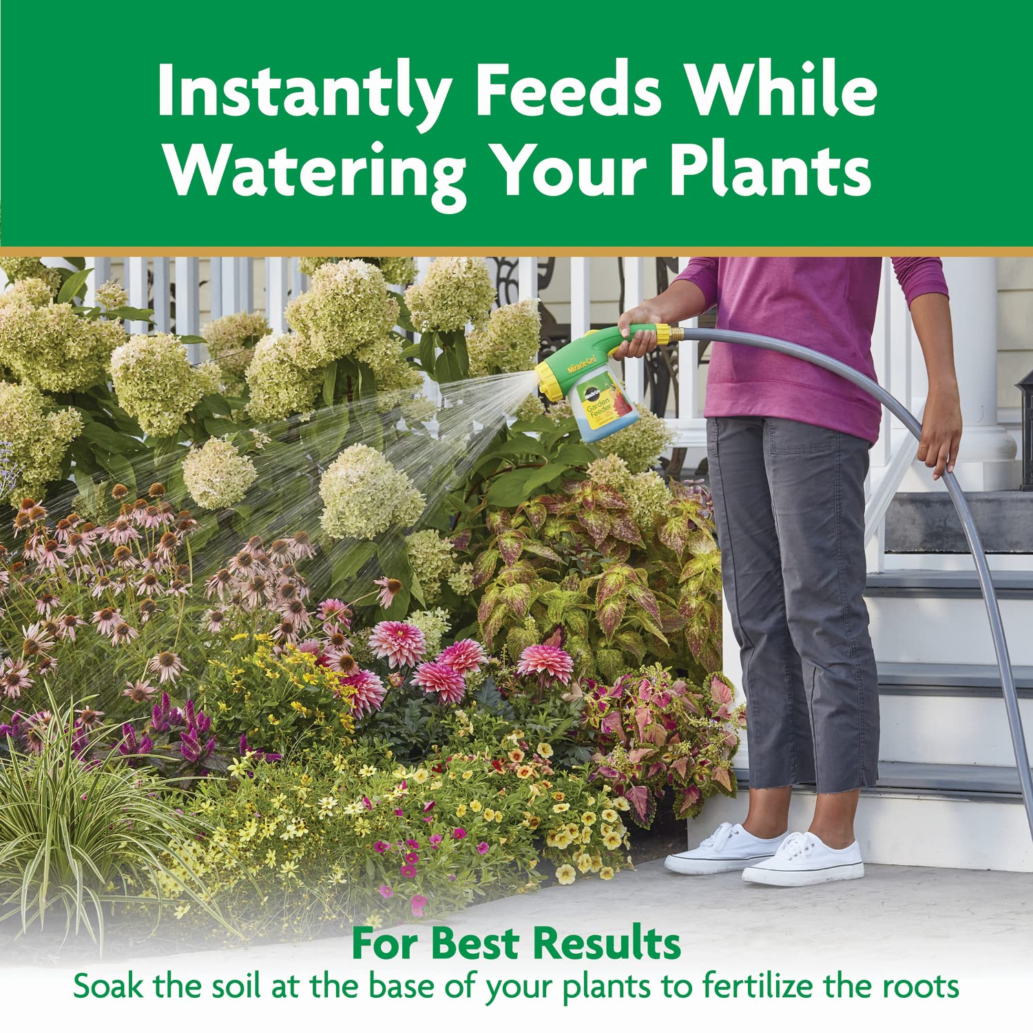 Miracle-Gro Water Soluble All Purpose Plant Food - Fertilizer For All Indoor or Outdoor Plants including Roses, Flowers, Vegetables, Houseplants, Trees, and Shrubs, 3 lbs.
