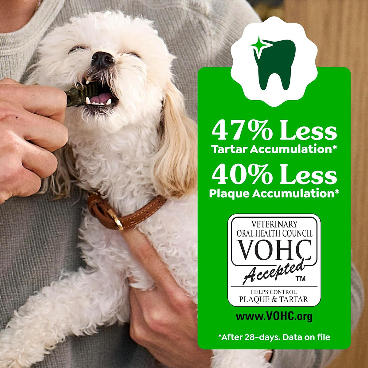 Greenies Veterinarian-Recommended Adult Natural Dental Dog Treats Petite Size, Dog Dental Chews, Original Flavor, 36 oz. Pack, 60 Count