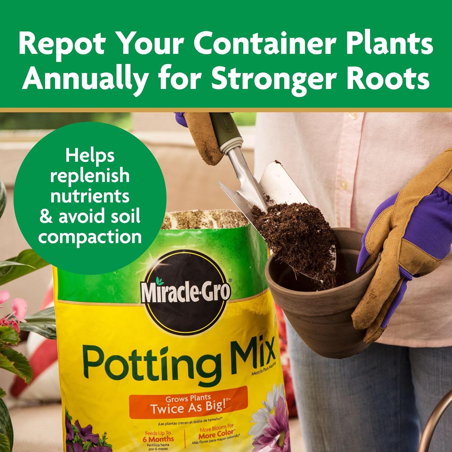 Miracle-Gro Potting Mix - For Container Plants, Flowers, Vegetables, Shrubs, Annuals, Perennials, Potting Soil Mix, Feeds up to 6 Months, 8 qt. (2-Pack)