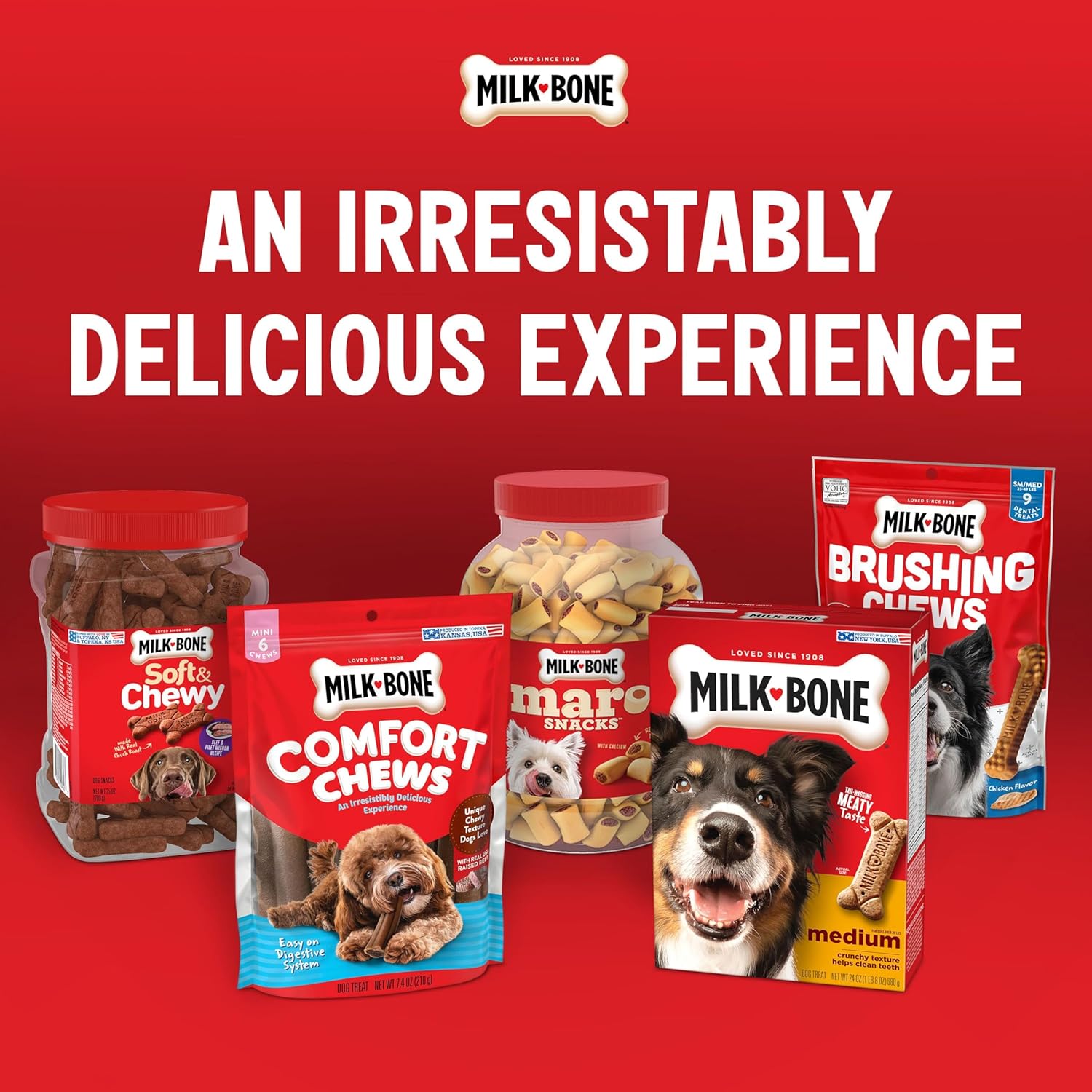 Milk-Bone Flavor Snacks Mini’s Dog Biscuits, Flavored Crunchy Dog Treats, 36 Oz. Canister