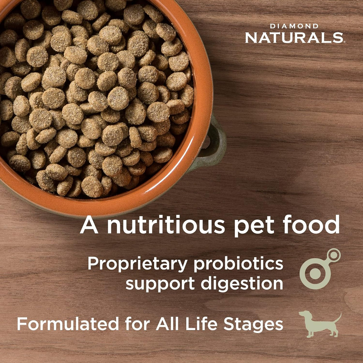 Diamond Naturals Skin & Coat Real Salmon and Potato Recipe Dry Dog Food with Quality Protein, Omega Fatty Acids, Probiotics and Essential Nutrients to Promote Healthy Skin and Coat 30lb