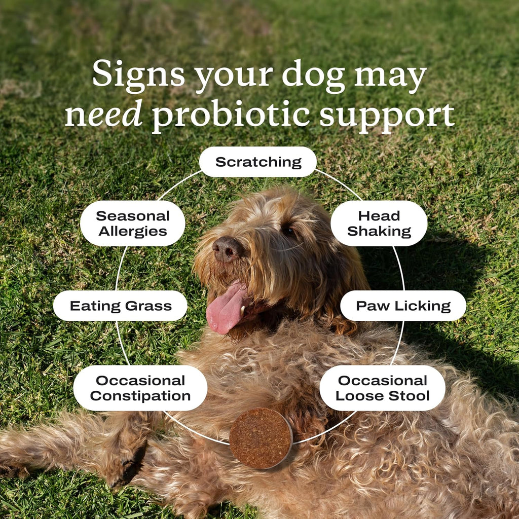 PetLab Co. Probiotics for Dogs, Support Gut Health, Occasional Diarrhea, Digestive Health & Seasonal Allergies - Pork Flavor - 30 Soft Chews - Packaging May Vary